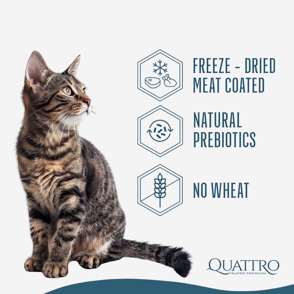 Quattro Poultry Kitten Dry Cat Food 1.5kg