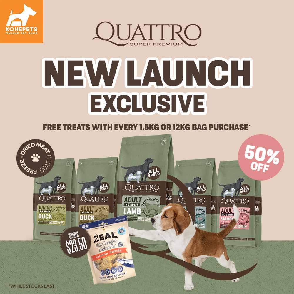 FREE SAMPLE (1 per order): Quattro Salmon Adult All Breed No Grain Dry Dog Food