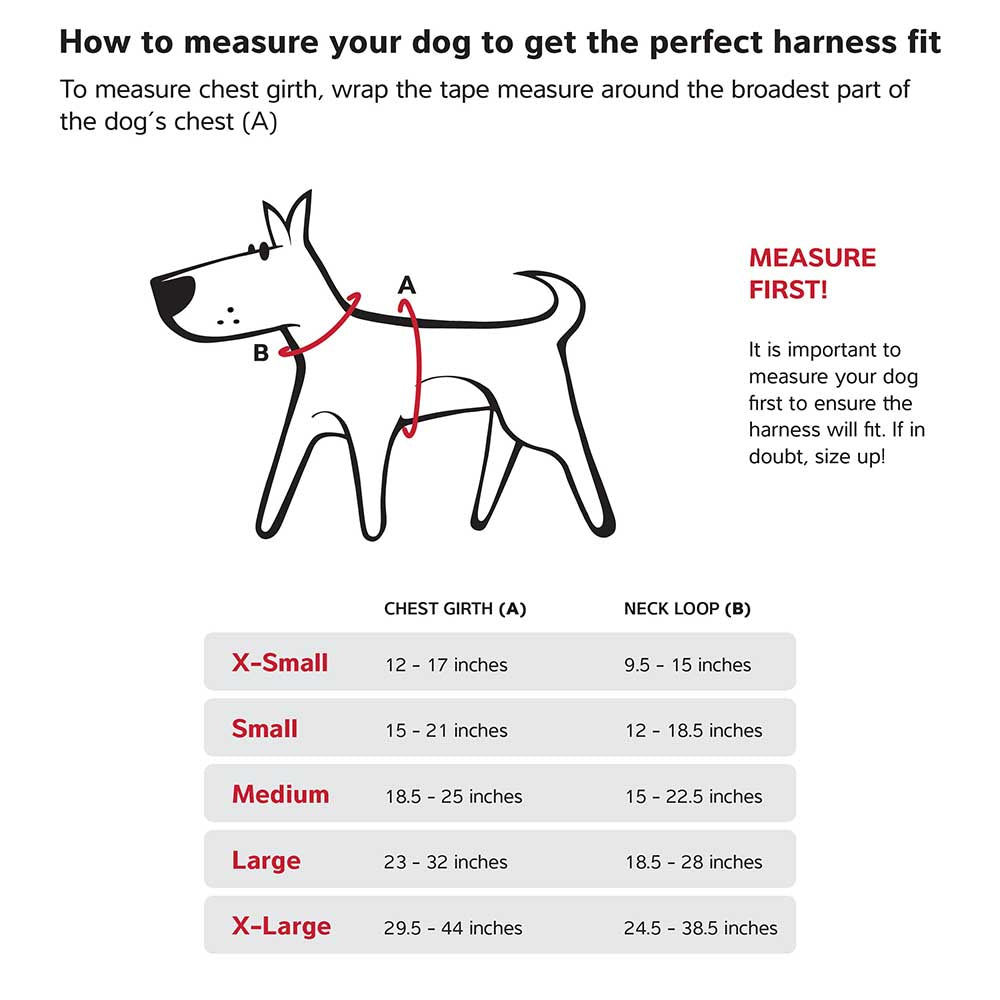 Red Dingo Sport Harness Hi-Vis Peach | Kohepets
