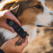 Ruffwear Ridgeline Dog Collar (Obsidian Black)