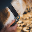 Ruffwear Ridgeline Dog Collar (Obsidian Black)
