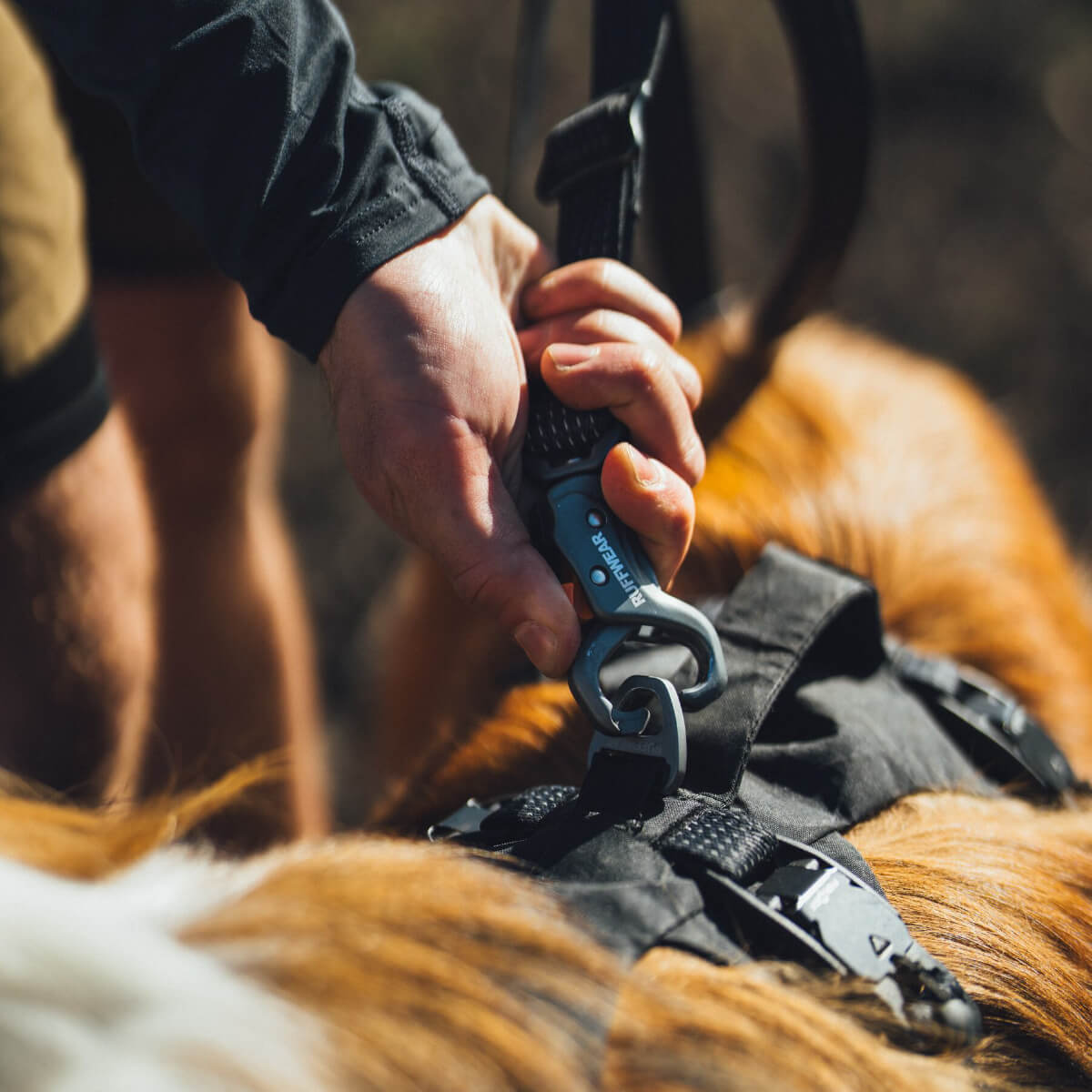Ruffwear Ridgeline Dog Leash (Obsidian Black)