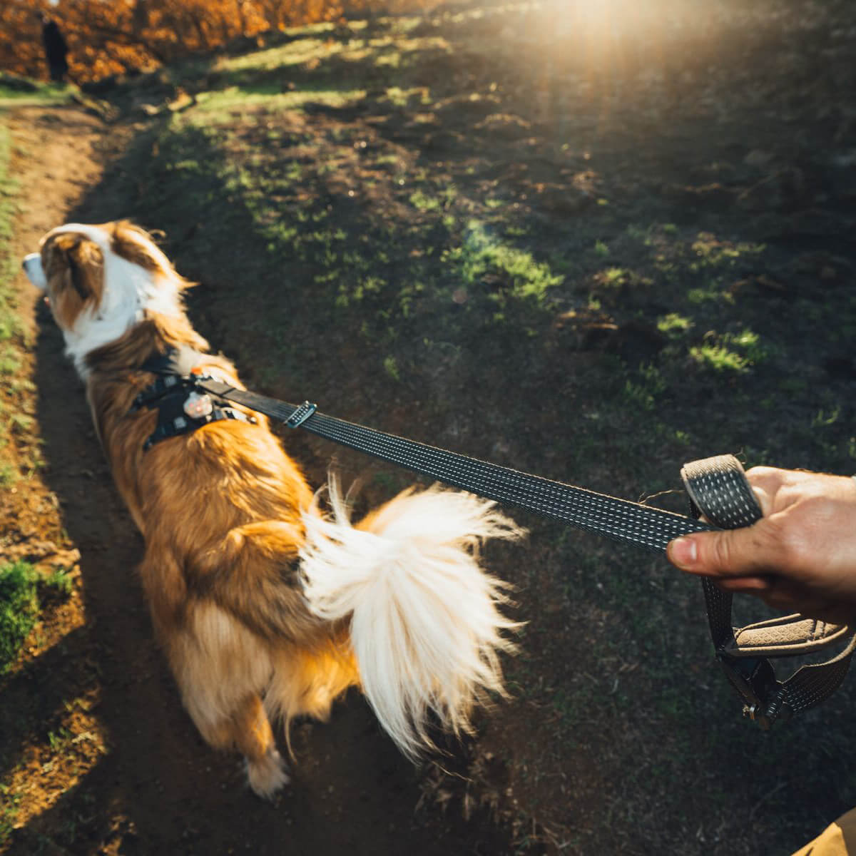 Ruffwear Ridgeline Dog Leash (Obsidian Black)