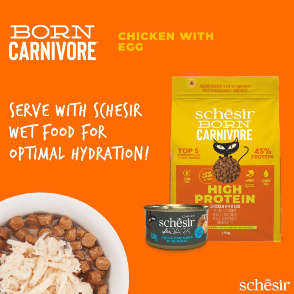 33% OFF: Schesir Born Carnivore Chicken with Egg Oven Baked Dry Cat Food