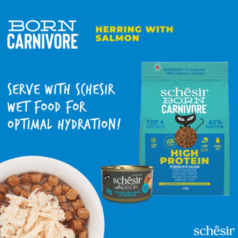 33% OFF: Schesir Born Carnivore Herring with Salmon Oven Baked Dry Cat Food