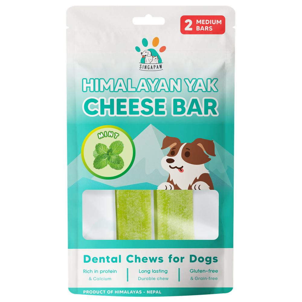 10% OFF: Singapaw Himalayan Yak Cheese Bar Dog Chew