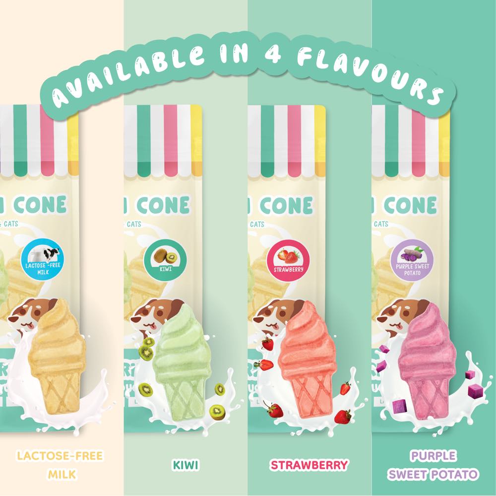 TRIAL SPECIAL: SingAPaw Ice Cream Cone Duck Freeze-Dried Treats For Cats & Dogs 1pc