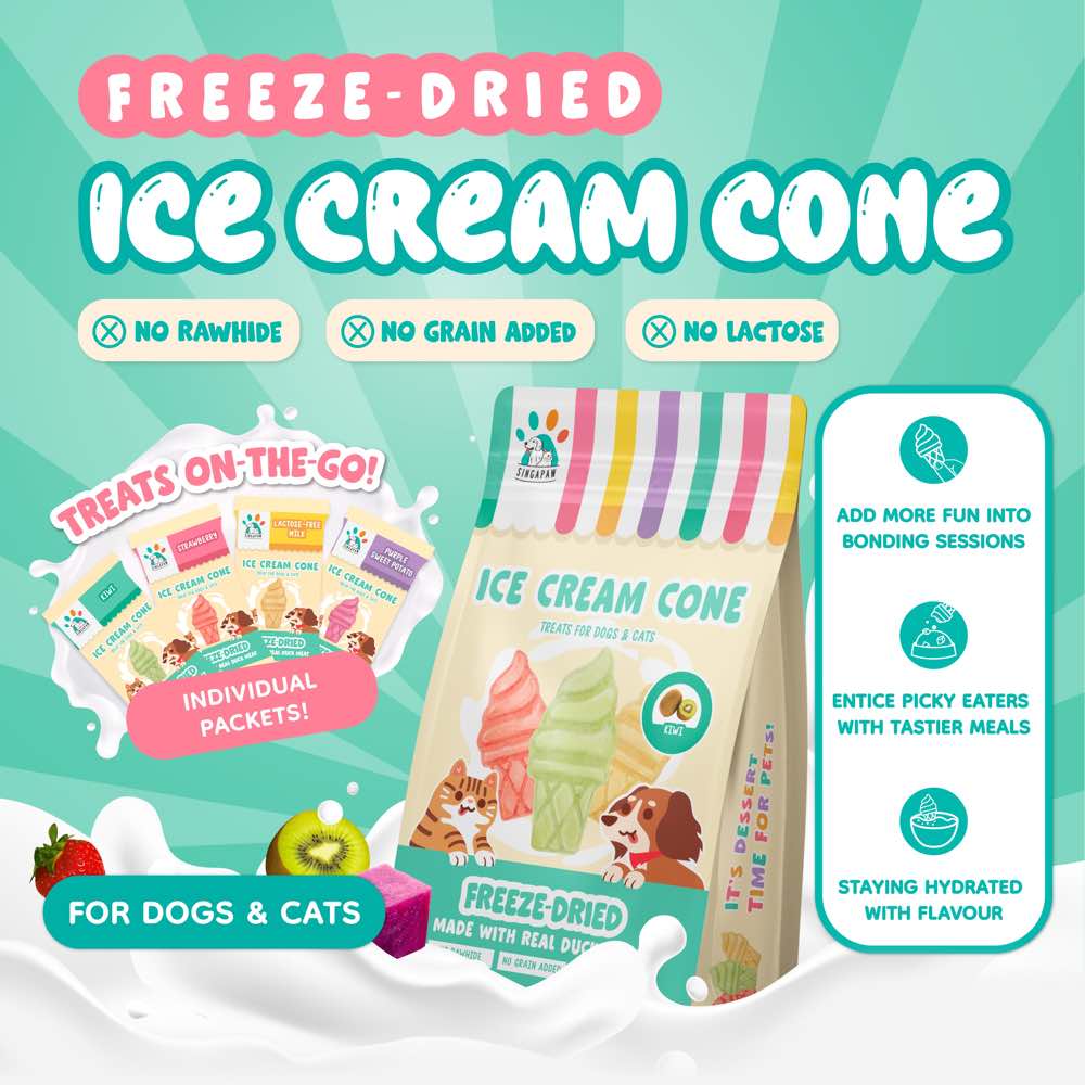 TRIAL SPECIAL: SingAPaw Ice Cream Cone Duck Freeze-Dried Treats For Cats & Dogs 1pc