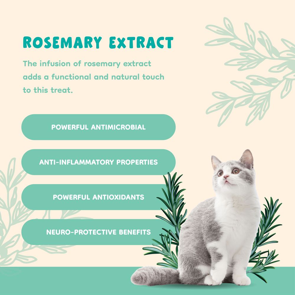 TRIAL SPECIAL: SingAPaw Ice Cream Cone Duck Freeze-Dried Treats For Cats & Dogs 1pc