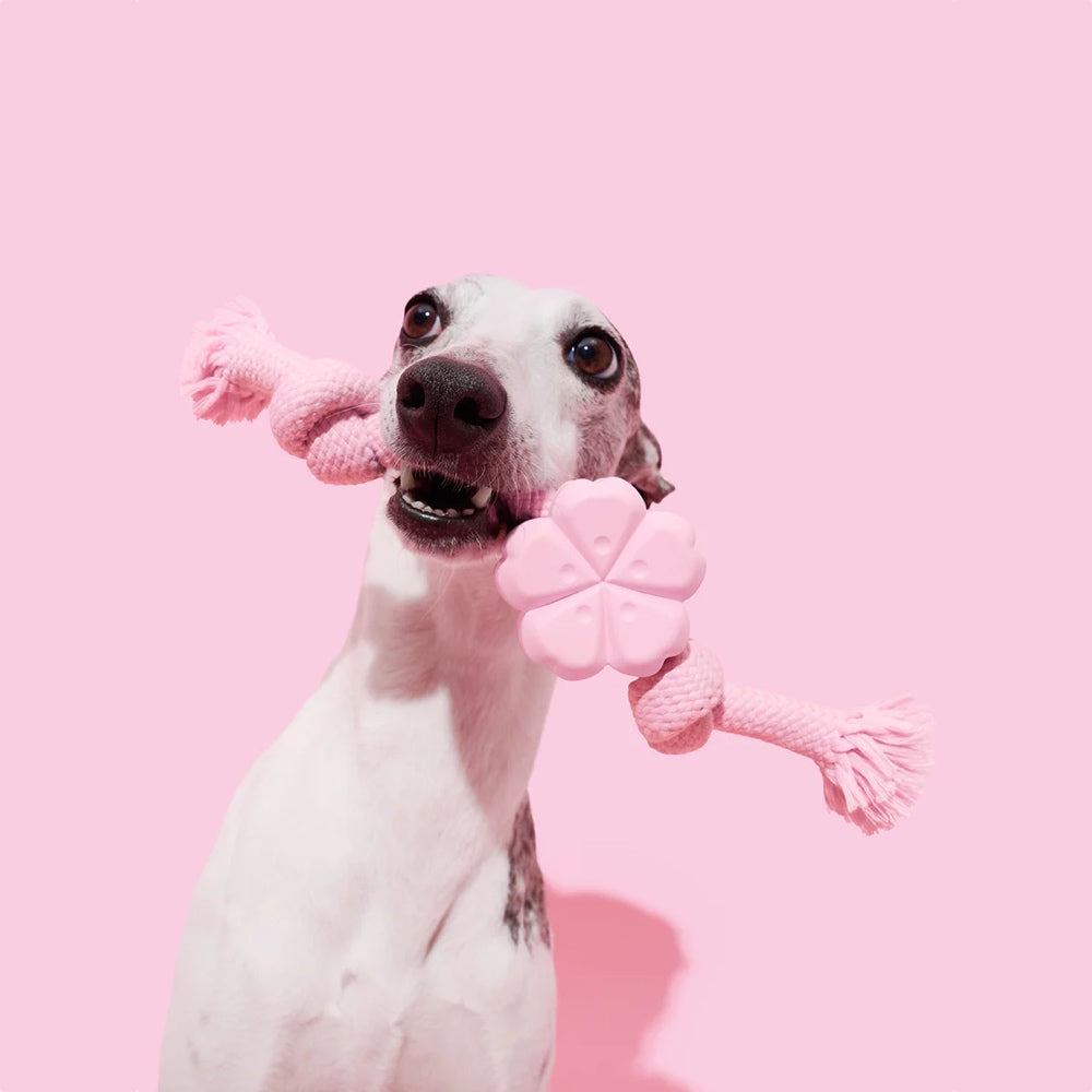VETRESKA Cherry Blossom Knot Rope Dog Toy