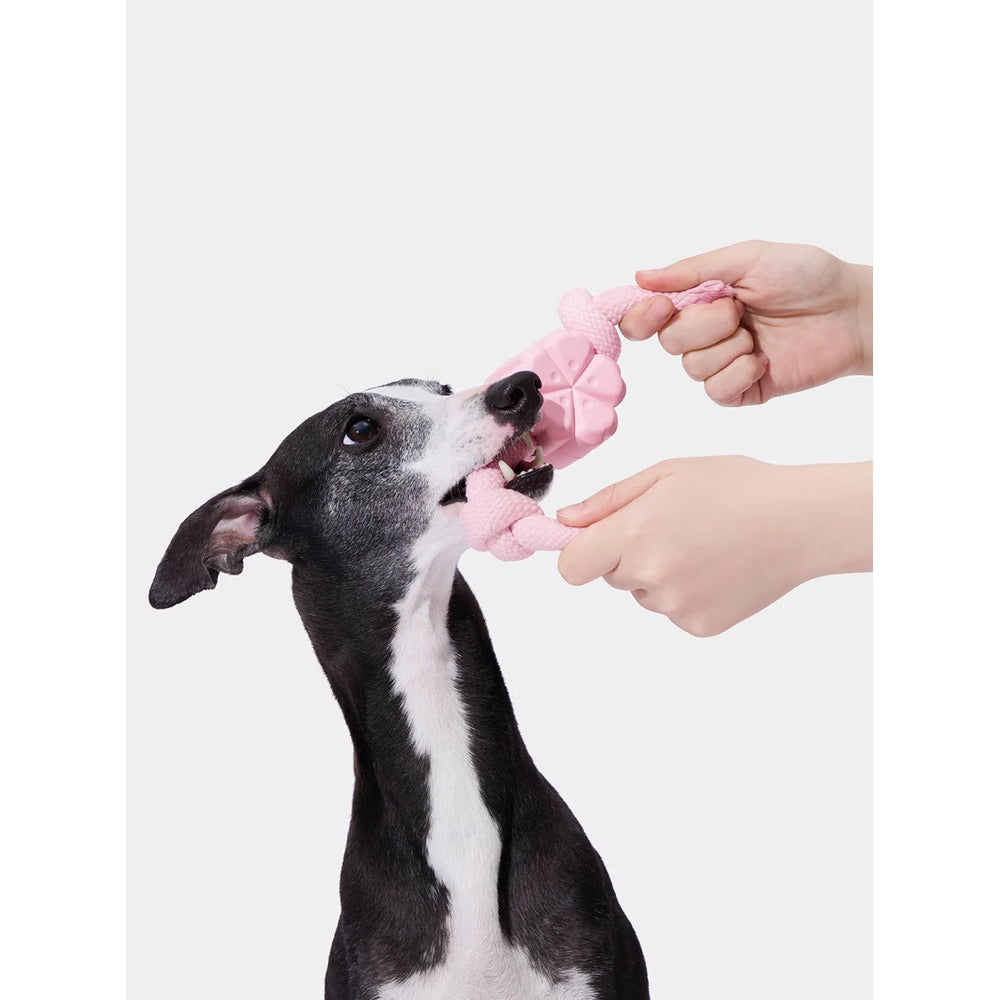VETRESKA Cherry Blossom Knot Rope Dog Toy