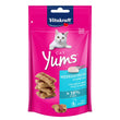 '60% OFF (Exp Dec26)': Vitakraft Cat Yums Cat Treats 40g