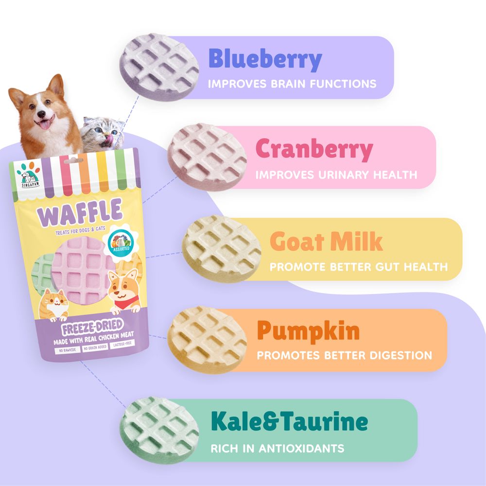 Singapaw Waffle Assorted Flavors with Kale Grain-Free Freeze-Dried Treats For Cats & Dogs 120g