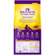 Wellness Complete Health Puppy Chicken, Oatmeal & Salmon Dry Dog Food - Kohepets