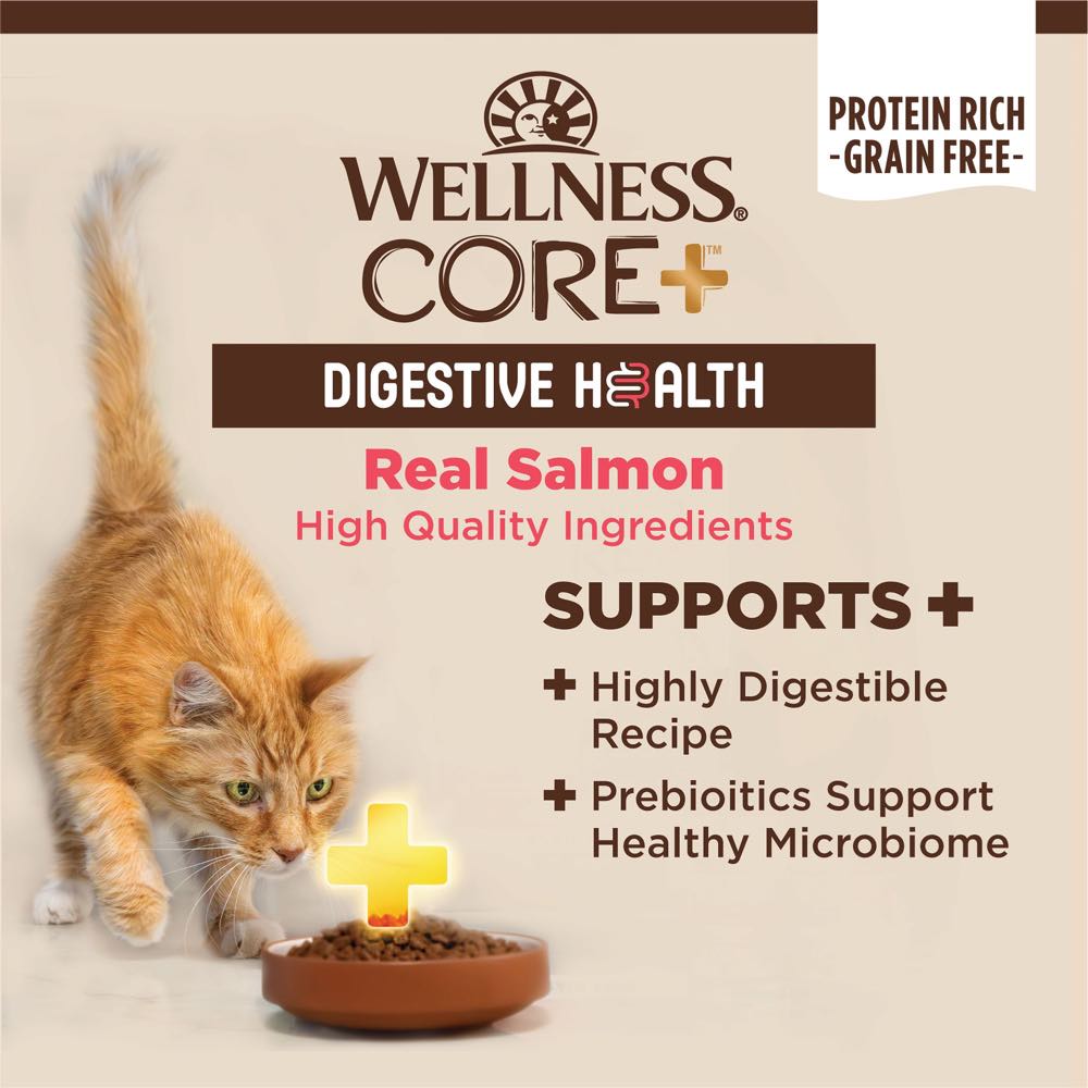 Wellness Core+ Digestive Health Salmon Pate Grain-Free Canned Cat Food 85g