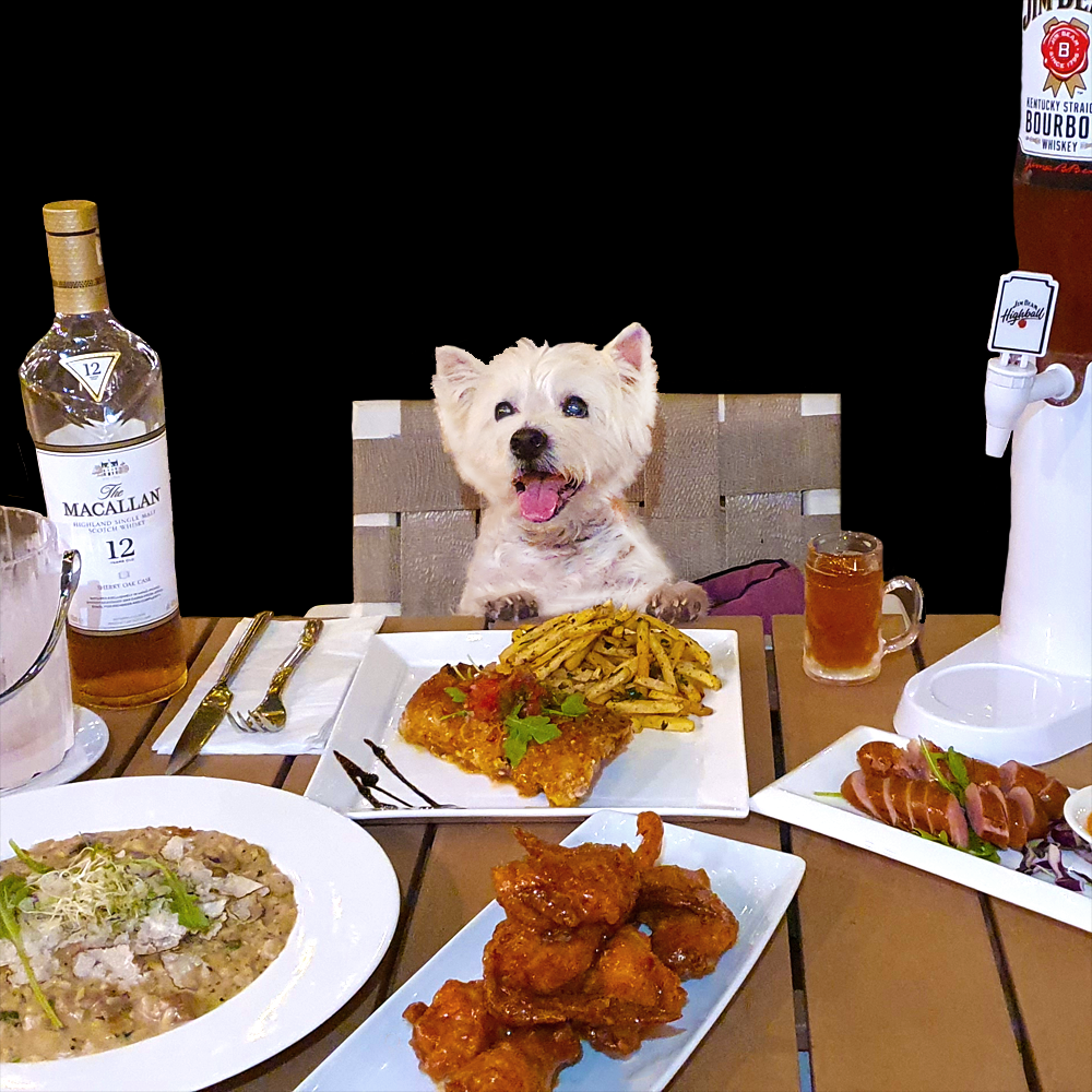 An Exclusive Kohepets Dining Experience
