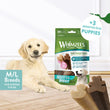 Whimzees Puppy Grain-Free Dental Dog Treats (M/L) 14pc