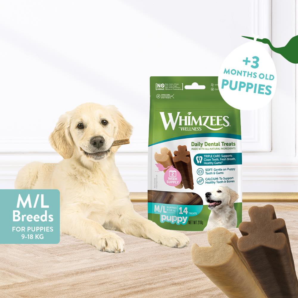 Whimzees Puppy Grain-Free Dental Dog Treats (M/L) 14pc