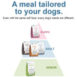Bow Wow Zenith Soft Kibble Puppy Chicken & Potato Dry Dog Food 1.2kg
