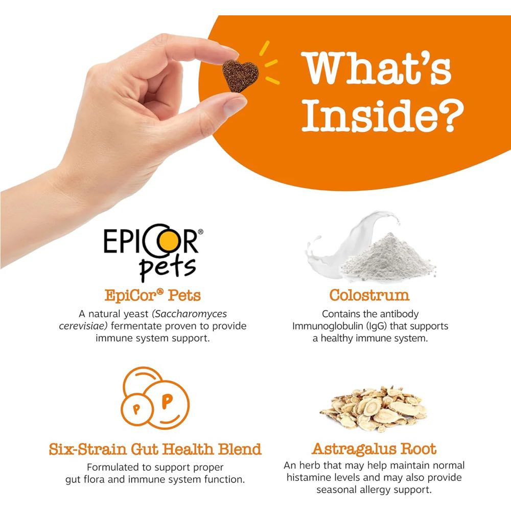 Zesty Paws Aller-Immune Bites Peanut Butter Flavor Dog Supplement Chews 90ct