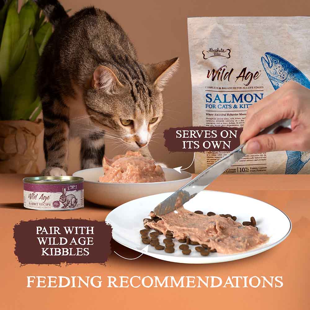 Absolute Bites Wild Age Rabbit Complete & Balanced Diet Canned Cat Food 80g - Box of 6