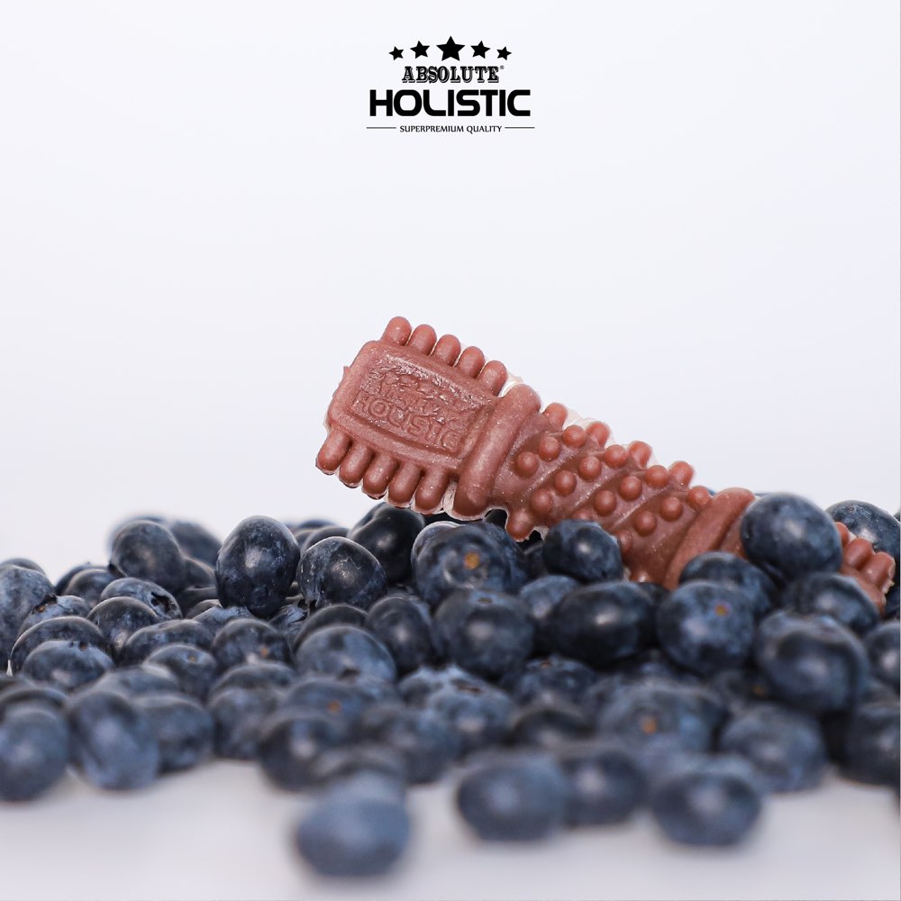 Absolute Holistic Boost Blueberry Medium Grain-Free Dental Dog Chews ...