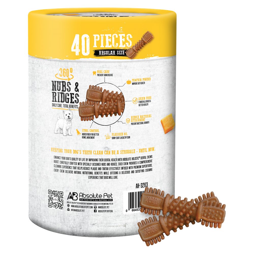 Absolute Holistic Boost Pumpkin Grain-Free Dental Dog Chews Value Tub