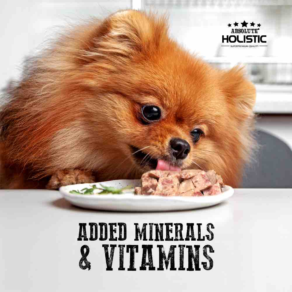 Holistic Dog Food With Lamb And Peas For Energy And Vitality photo