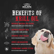 Absolute Holistic Fresh Caught Arctic Krill Oil Pet Supplement for Cats & Dogs 250ml