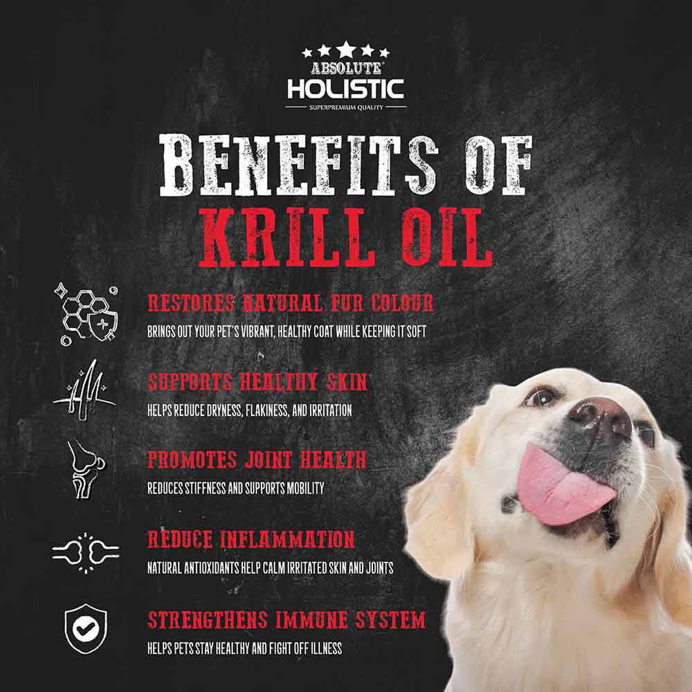 Absolute Holistic Fresh Caught Arctic Krill Oil Pet Supplement for Cats & Dogs 250ml