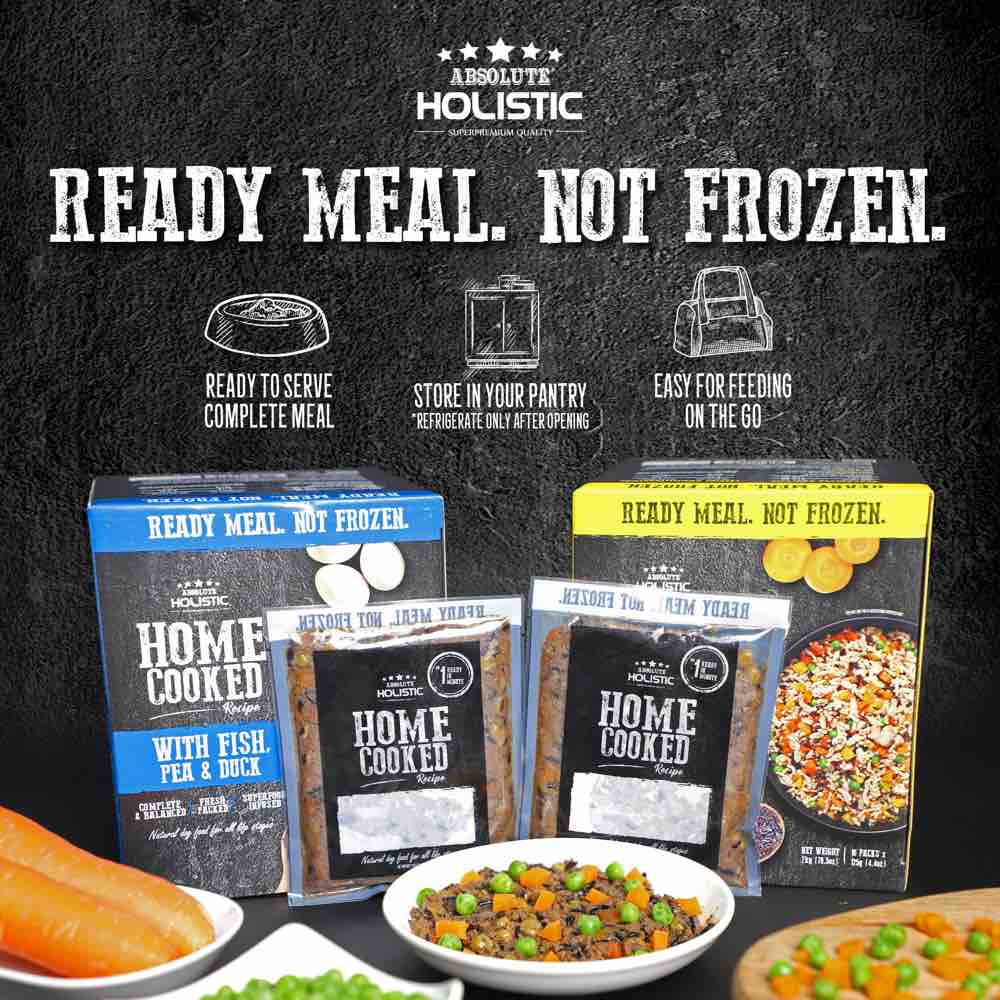 UP TO 35% OFF: Absolute Holistic Home Cooked Recipe Lamb, Peas & Spinach Wet Dog Food