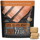 Absolute Holistic Raw Salmon Nuggets Complete Freeze Dried Dog Food 14oz
