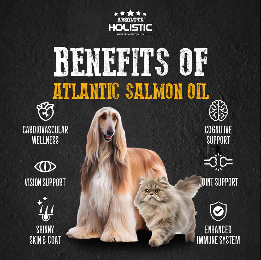 Absolute Holistic Wild Salmon Fish Oil Natural Pet Supplement for Cats & Dogs 250ml - Kohepets