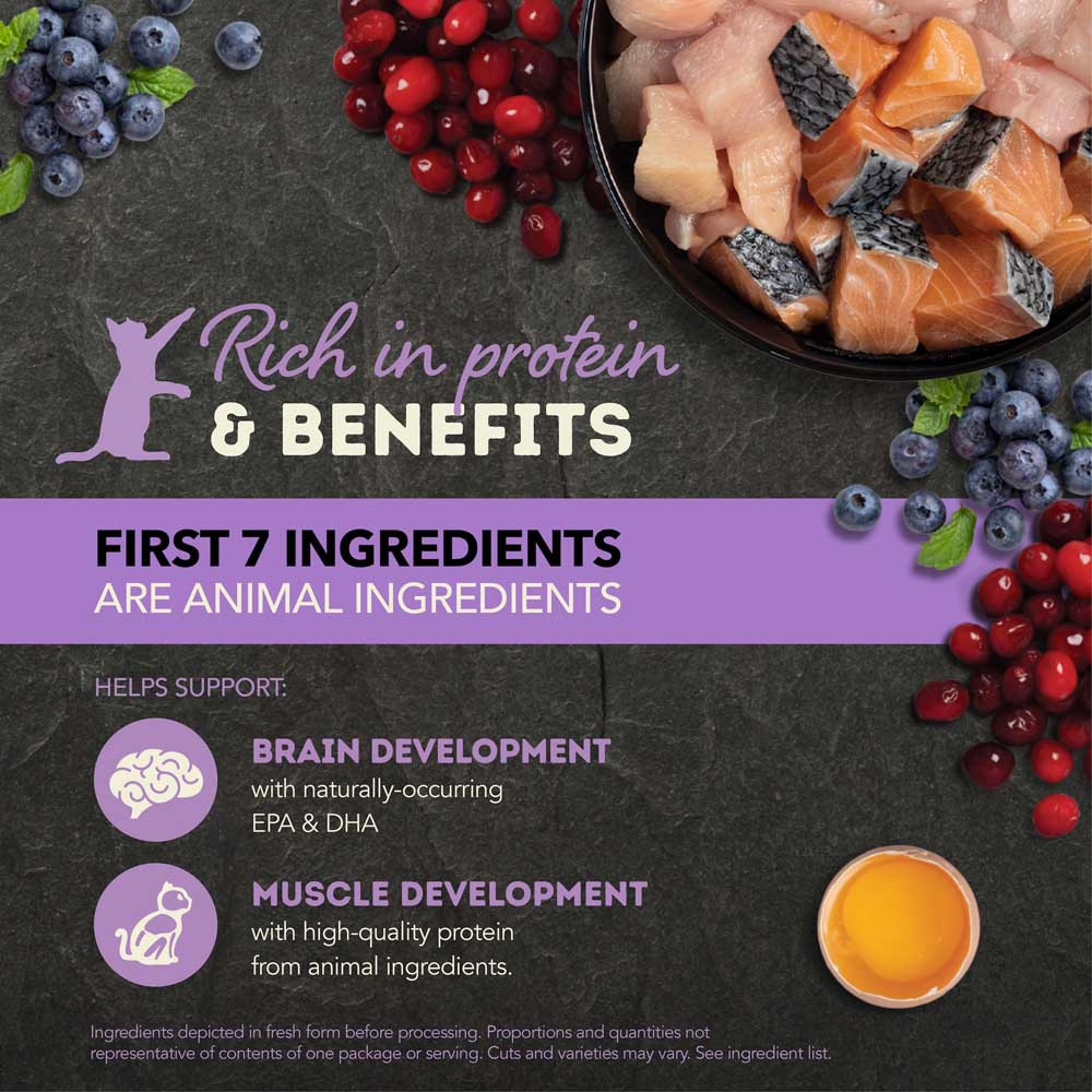 ACANA Chunks In Broth Chicken & Salmon KITTEN Canned Cat Food