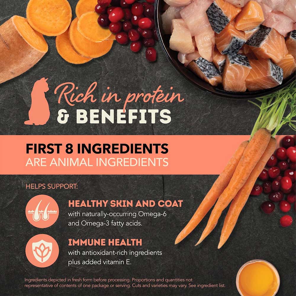 ACANA Chunks In Broth Salmon & Chicken Canned Cat Food