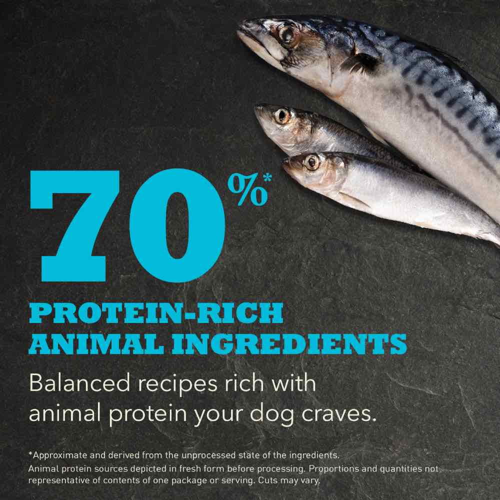 ACANA Regionals Pacifica Dry Dog Food | Kohepets