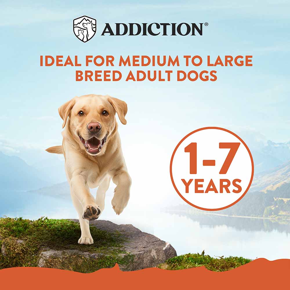 Addiction Mega Chicken Large Breed Adult Dry Dog Food 44lbs