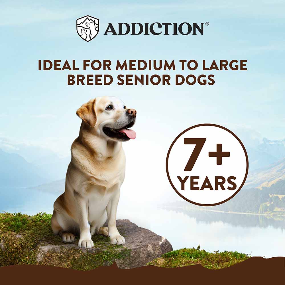 Addiction Mega Chicken Large Breed Senior Dry Dog Food 33lbs