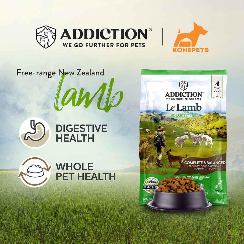 Addiction Le Lamb — From Green Fields to Dog Bowls