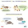 16% OFF: Aixia Kenko Tuna Paste For Syringe Feeding Pouch Cat Food 30g x 12