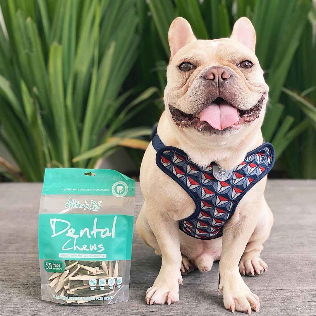 Altimate Pet Dental Chew Variety Pack