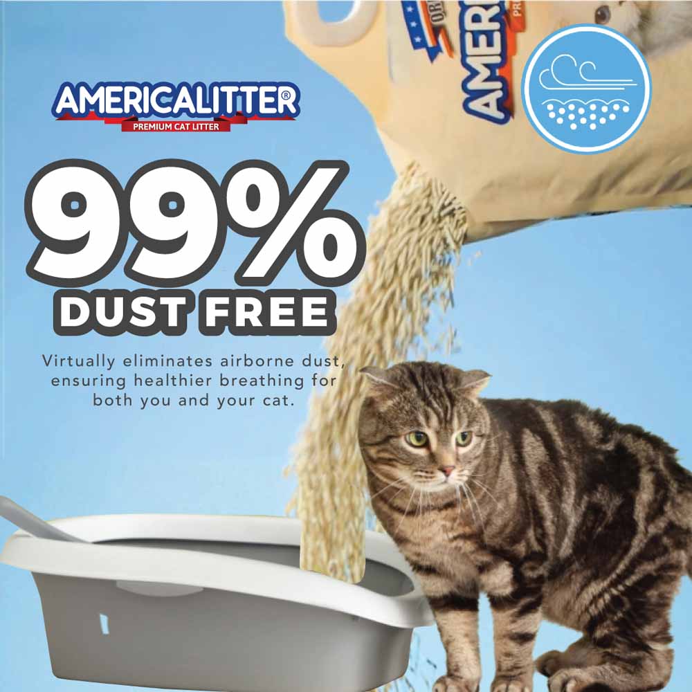 America Litter Unscented Clumping Tofu Cat Litter 10L - Kohepets