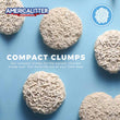America Litter Unscented Clumping Tofu Cat Litter 10L - Kohepets