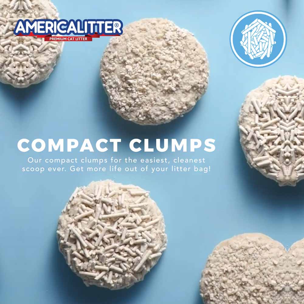 America Litter Unscented Clumping Tofu Cat Litter 10L - Kohepets