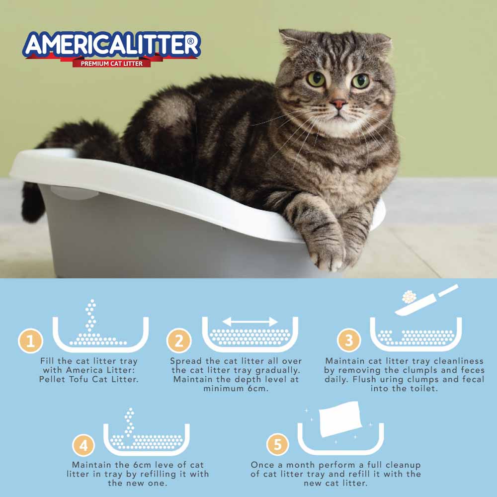 America Litter Unscented Clumping Tofu Cat Litter 10L - Kohepets