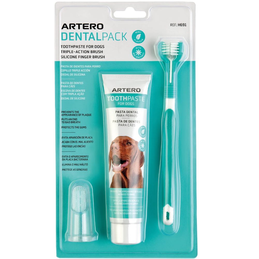Artero Dental Pack