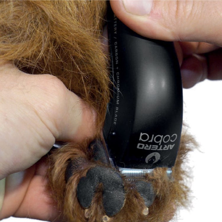 Artero Pet Trimmer, Clippers & Grooming Tools
