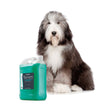 Artero Tsunami Shampoo 5L - Kohepets