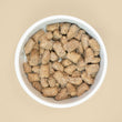 Big Dog Raw Bites Salmon Dog Food 1.3kg