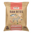 Big Dog Raw Bites Salmon Dog Food 1.3kg